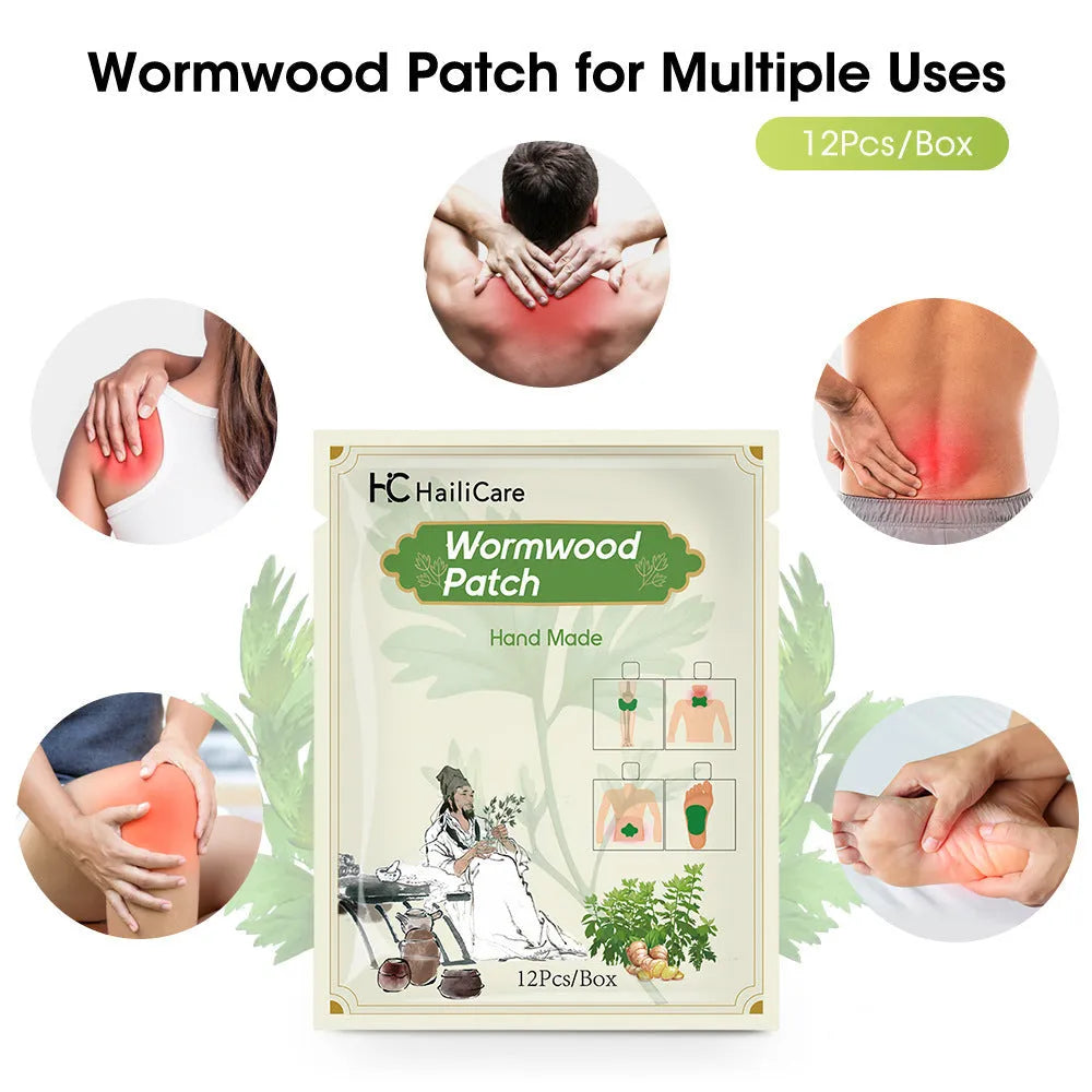 Multipack of traditional Chinese mugwort herbal plasters for knee, lumbar, cervical and foot application
