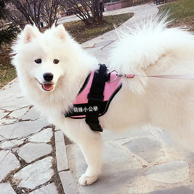 Fashion Simple Pet Leash Chest Strap Set in Black with adjustable sizing from XS to XXL for dogs