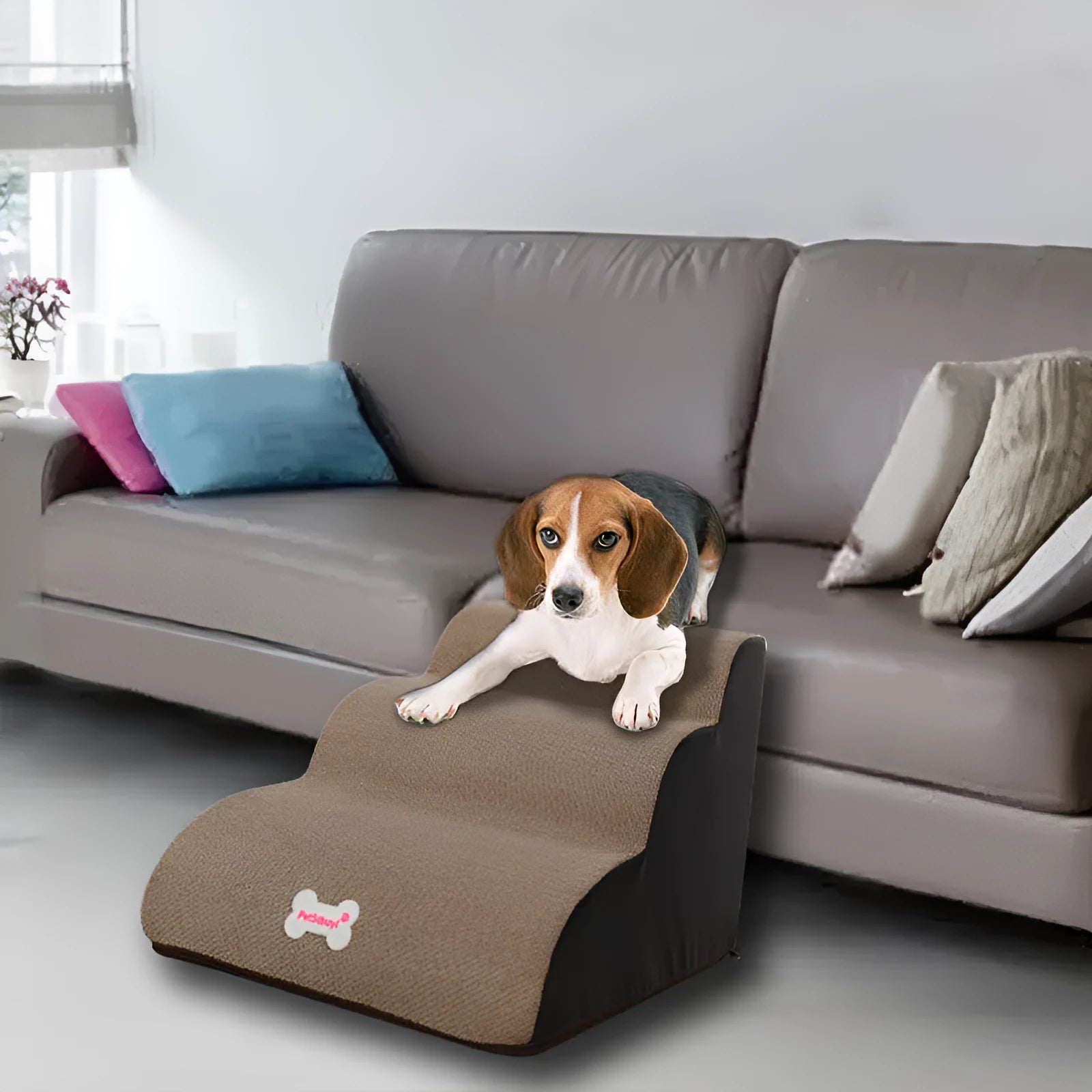 Small cloth dog climbing ladder slope cushion with sponge steps in gradient colours