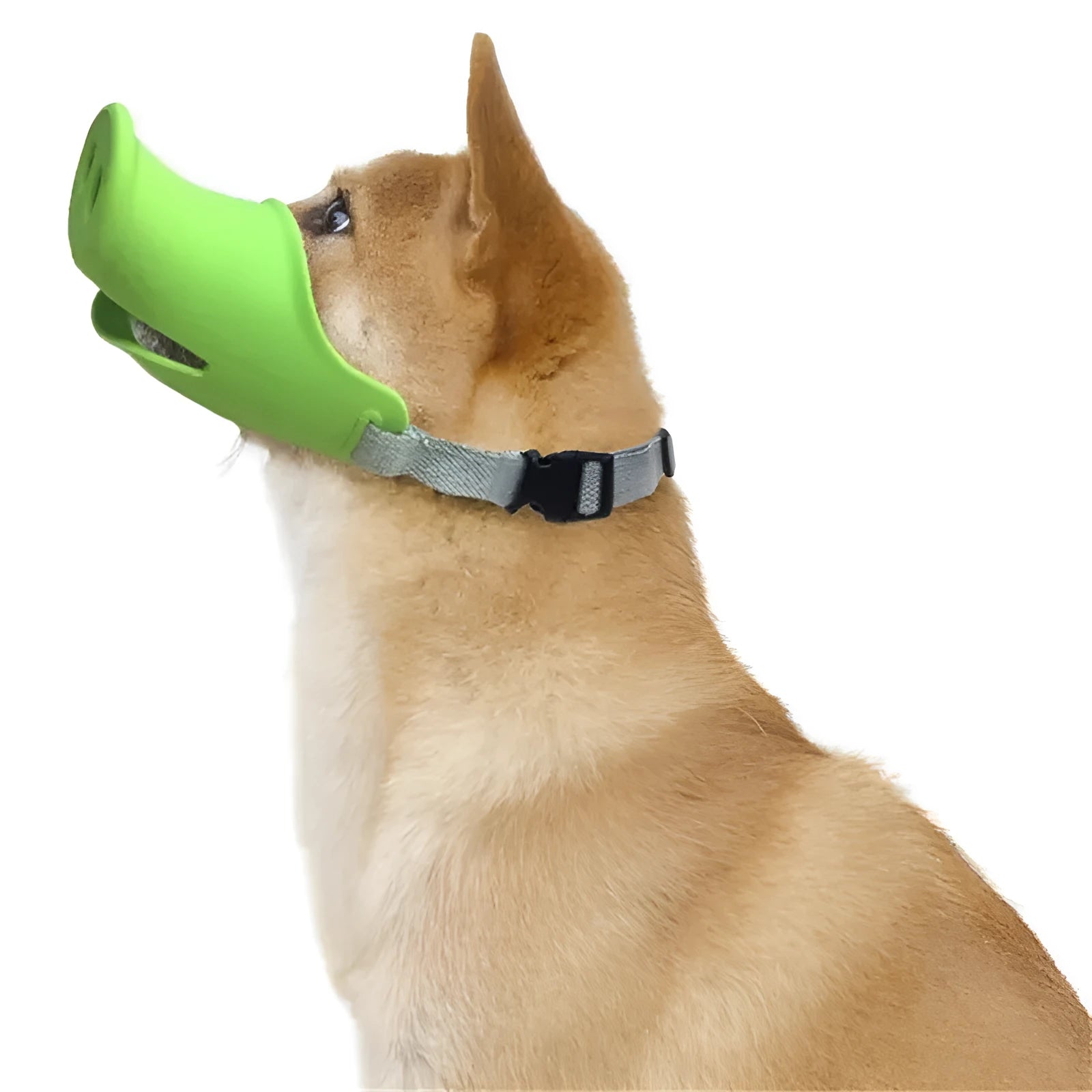 Silicone anti-bite mouth cover for dogs and piggies with long snouts in blue and green colours