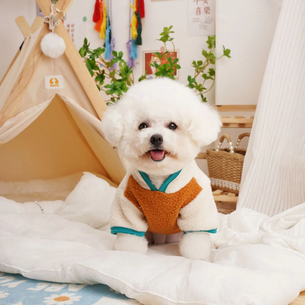 Lambswool fleece pet sweatshirt in caramel colour on a small dog.