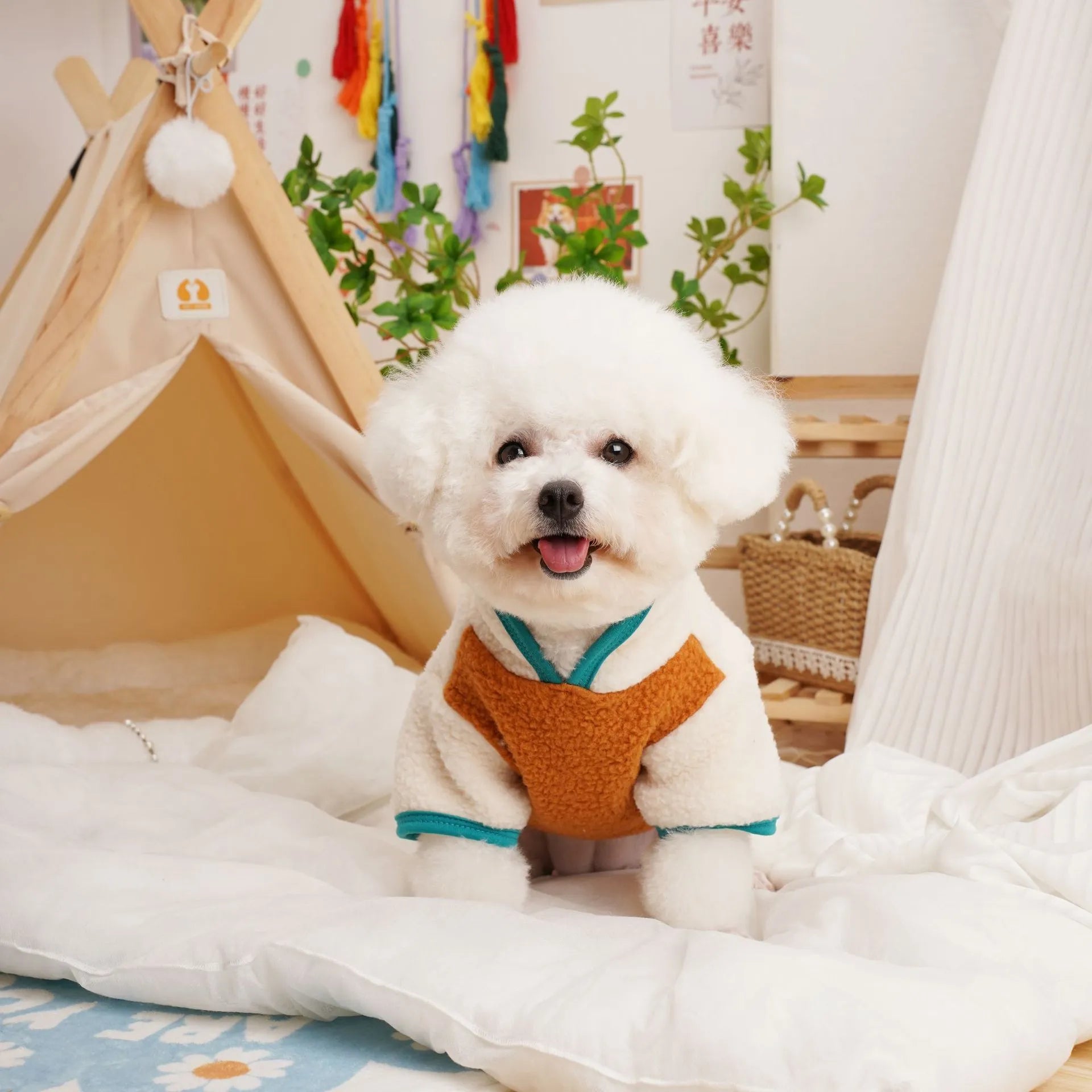 Lambswool fleece pet sweatshirt in caramel colour on a small dog.