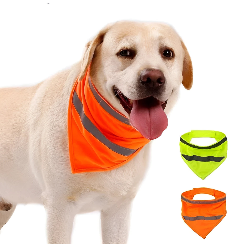 Yellow and orange reflective triangular dog bandana with adhesive strap on a dog's neck.