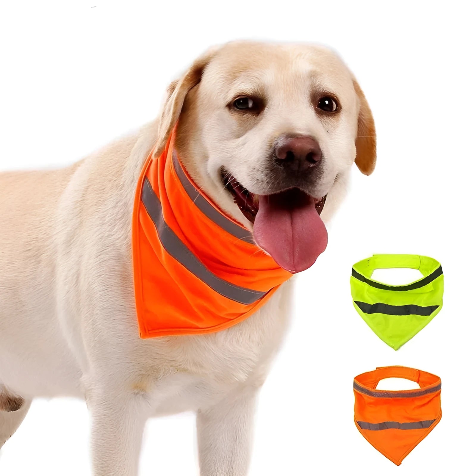 Yellow and orange reflective triangular dog bandana with adhesive strap on a dog's neck.