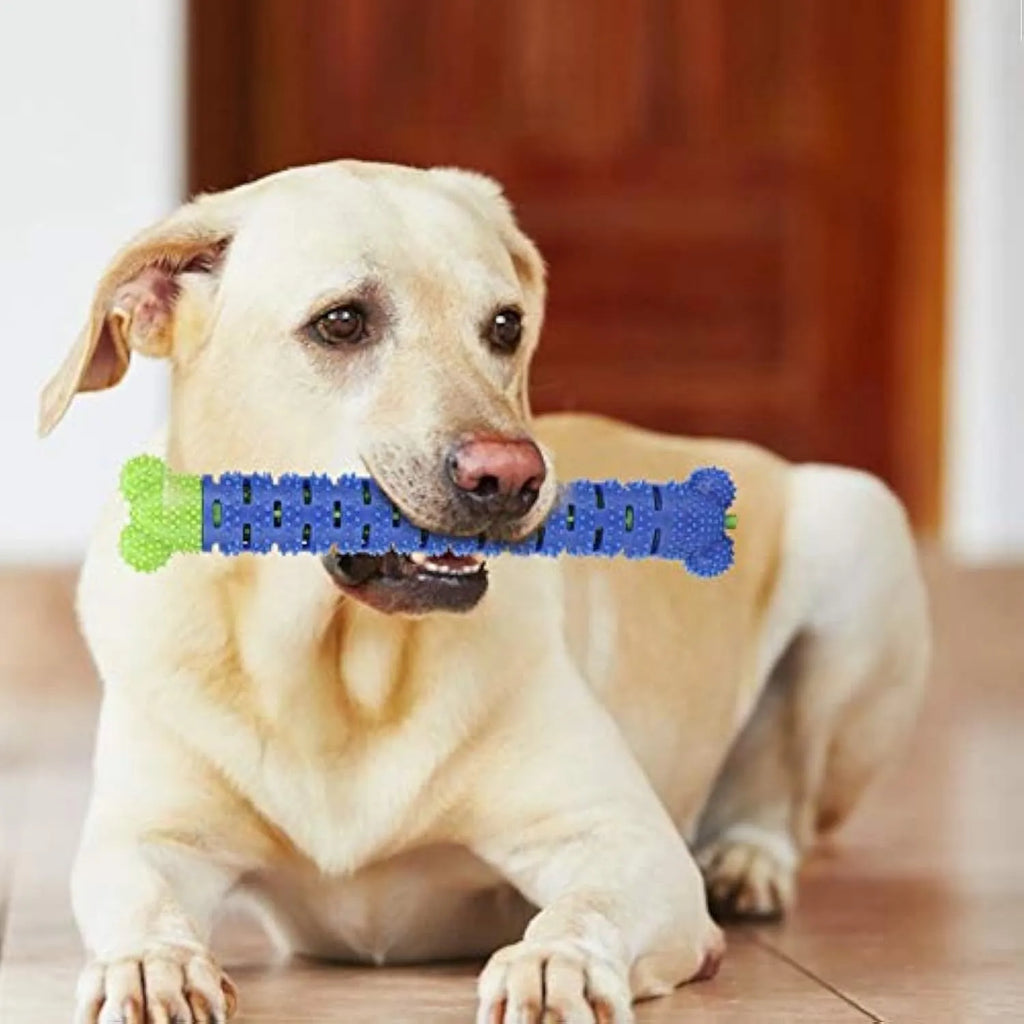 Blue silicone dog dental cleaner stick with serrated brush head and massage nodules, 25cm length