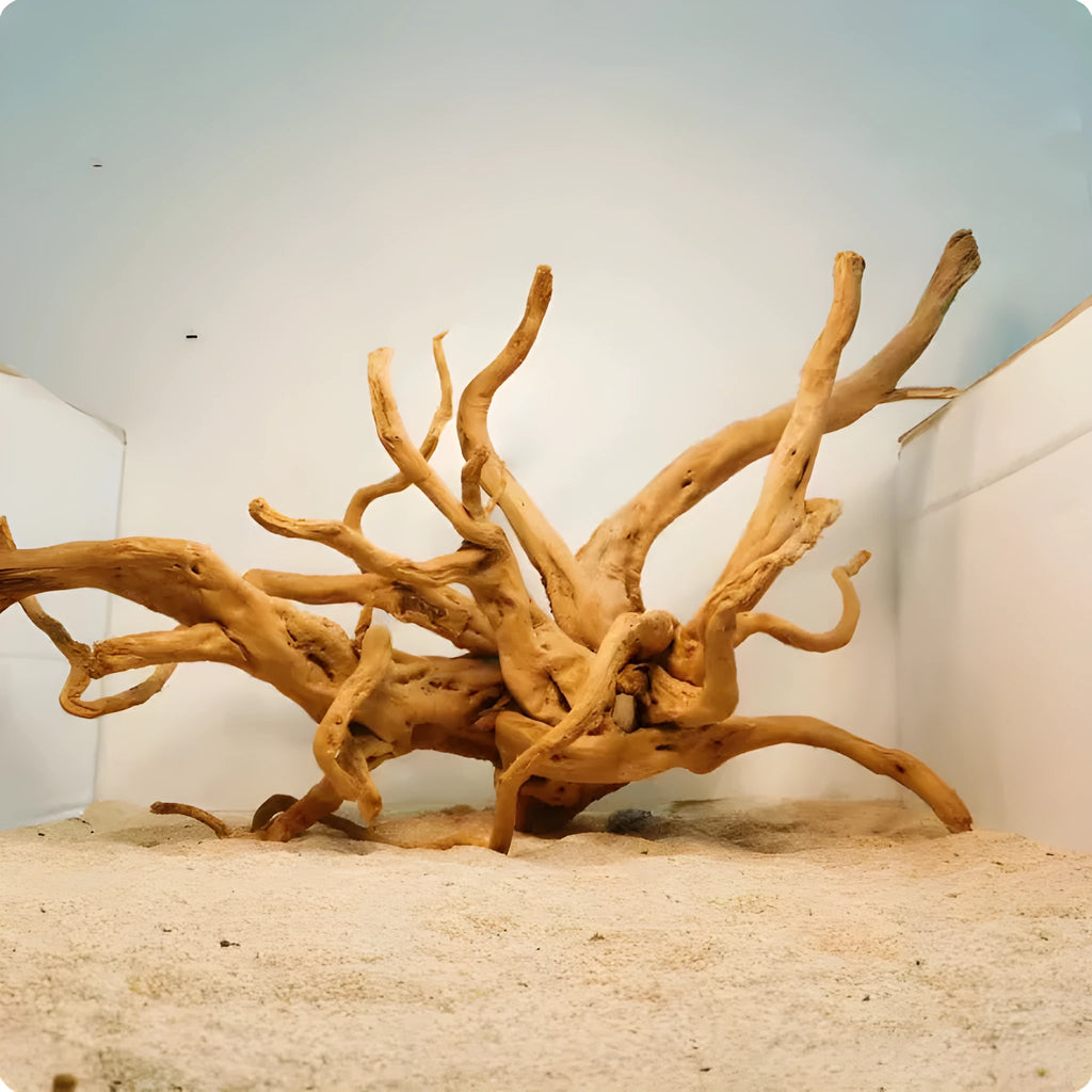 Xiaoqi root natural wood aquarium ornament for fish tank scenery decoration.