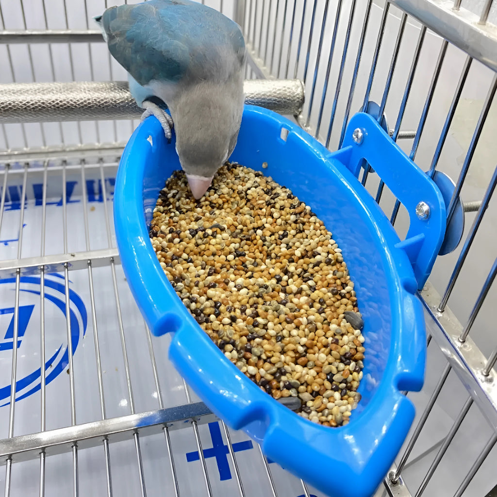 Small plastic multifunctional feeder bird bathtub with 10 balls for pet birds