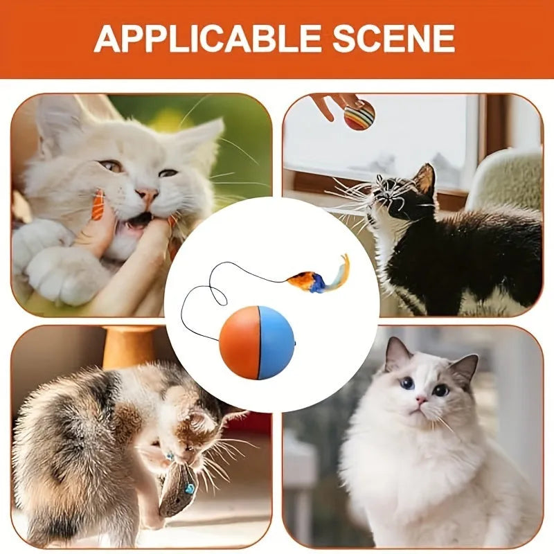 Blue and orange interactive cat toy with ball and separate plush mouse components