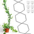 Hexagonal iron ring plant flower rack climbing frame with hooks and folding design