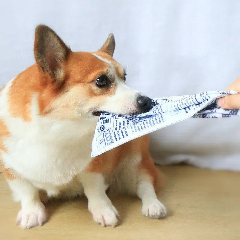 Tear-resistant dog toy with newspaper and playing card prints featuring a squeaker inside