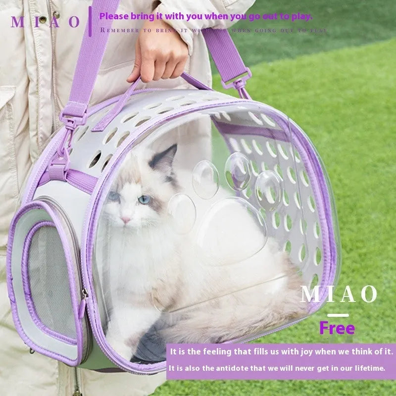 Large transparent hard-shell backpack pet carrier for cats, shown in violet colour.