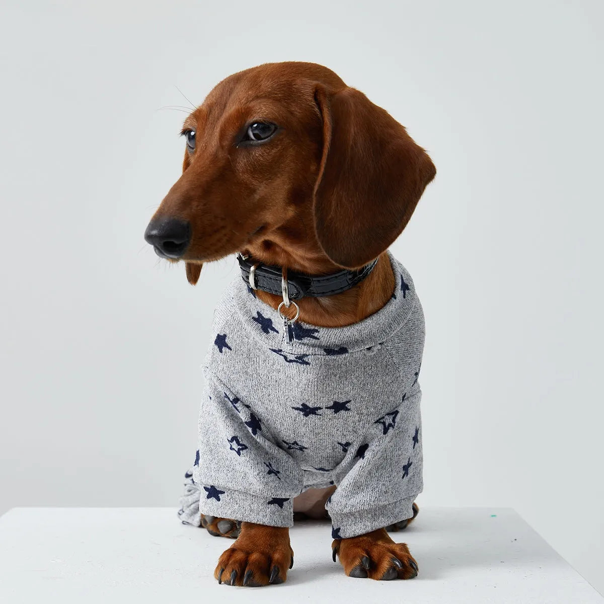 Thin striped polyester pet clothing for dogs and cats in spring summer homewear style