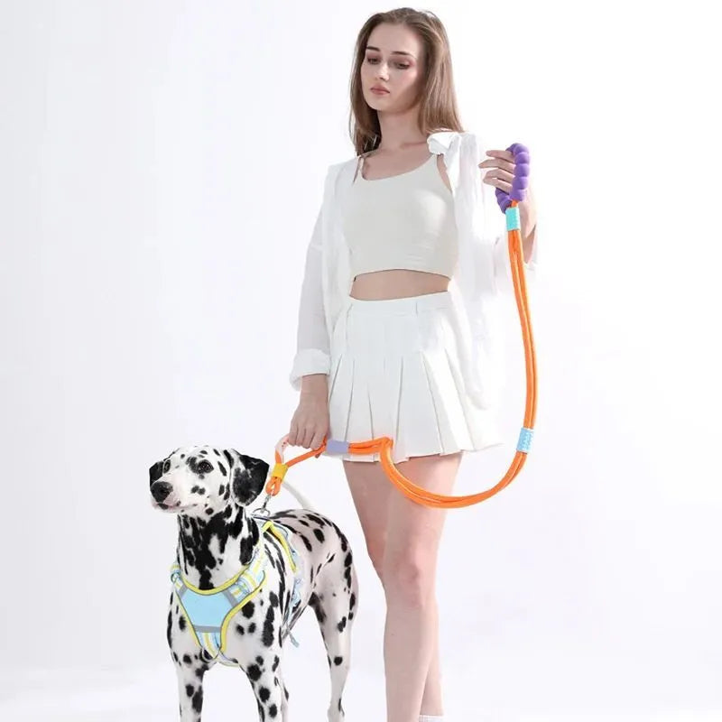 140 cm nylon dog leash with foam anti-slip handle in four colour options