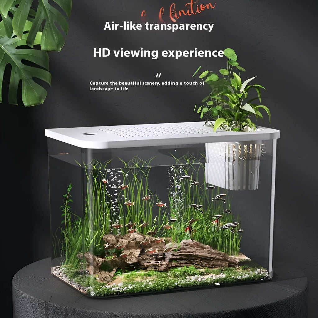 Compact black plastic betta fish tank with a clear cover on a wooden desk.