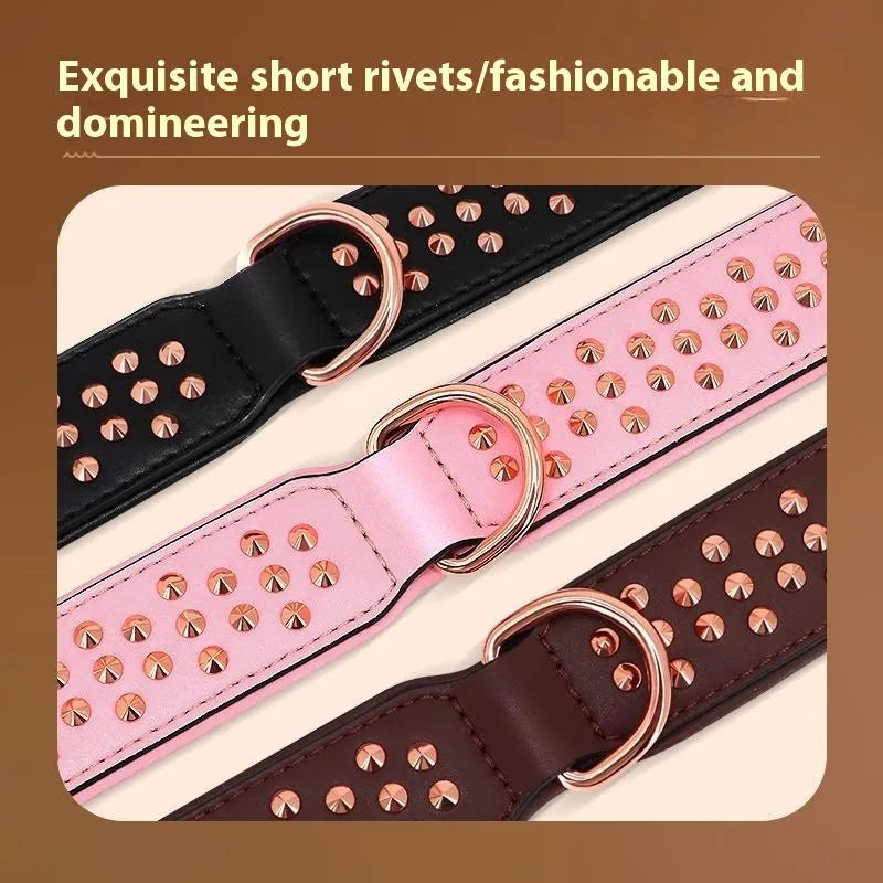 Leather dog collar with anti-bite rivets and a metal D-ring in black colour