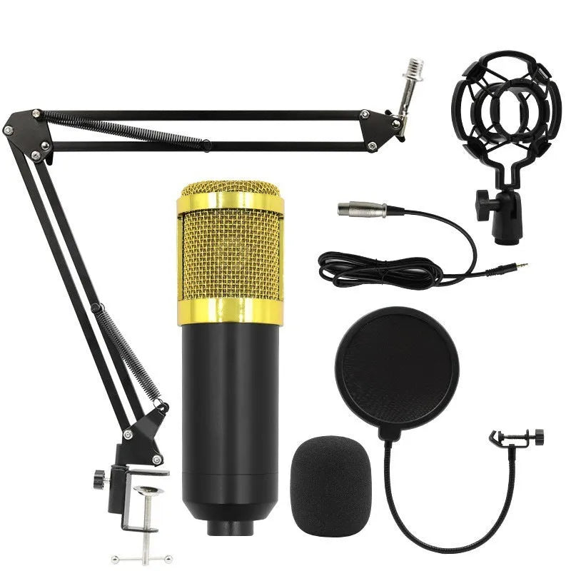 Black gold single wheat capacitor microphone set with cantilever bracket for mobile recording