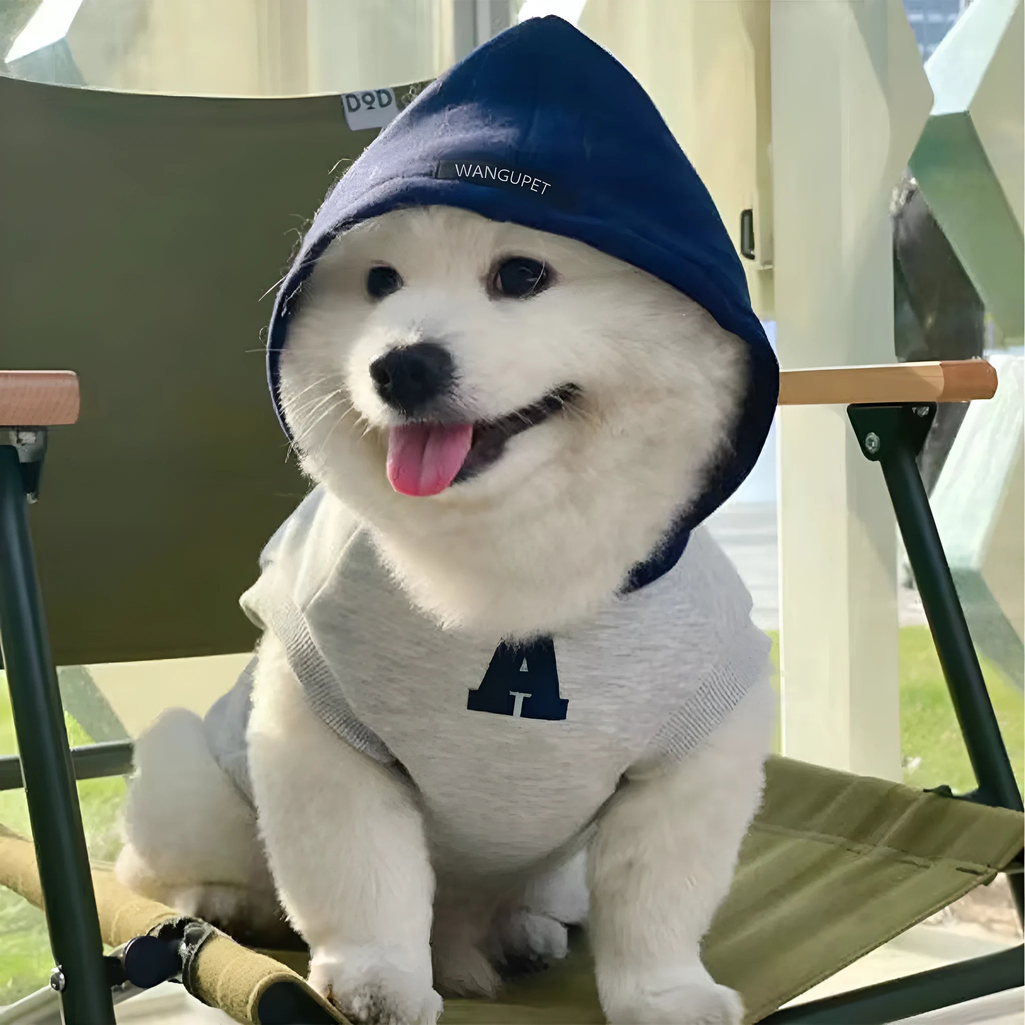 Blue and grey white slim-fit pet hoodie with reflective letters for dogs and cats