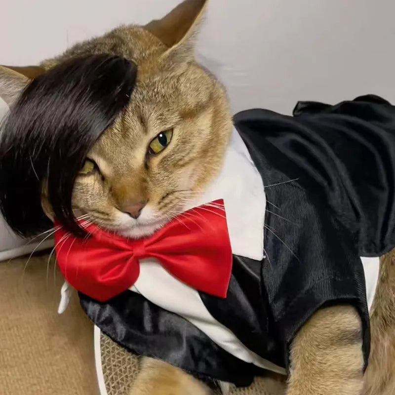 Black fox-style pet wig with imitation braid for cats on a white background.