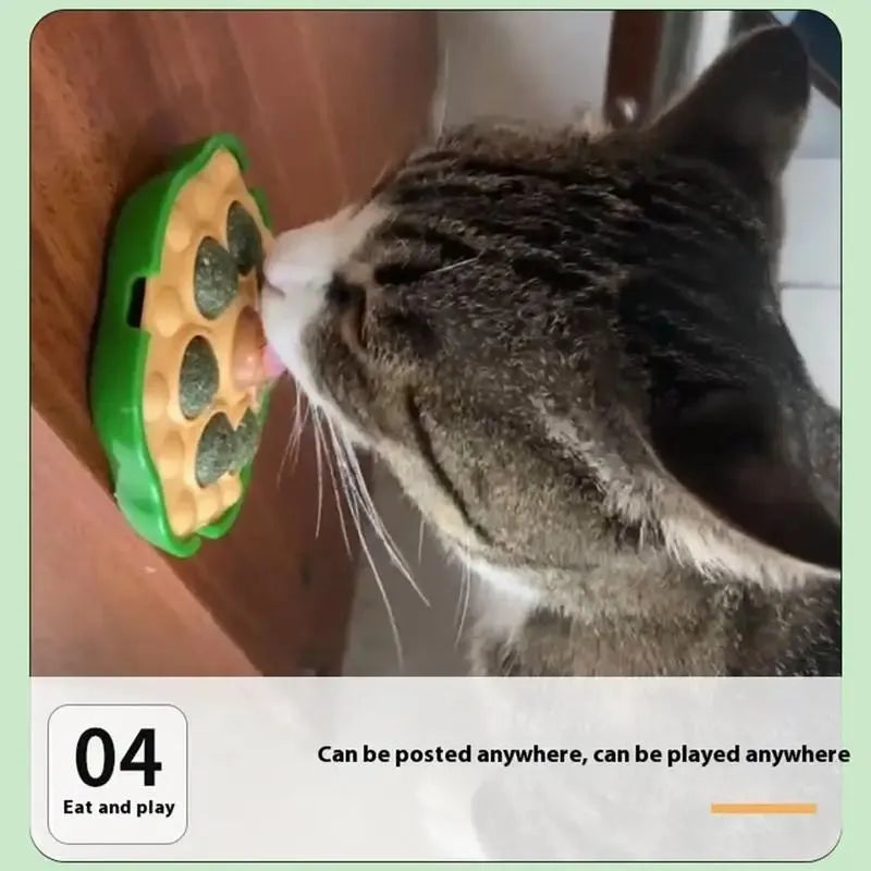 Green adhesive catnip ball toy for walls measuring 10.5x10.5cm with edible filling