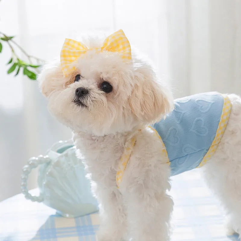 Small dog wearing a blue vest with a heart relief texture and white bow suspenders.