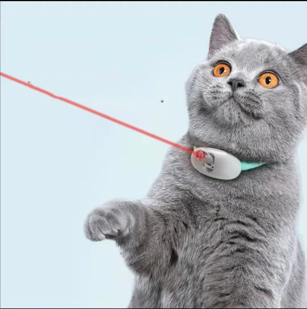 Automatic cat teaser laser toy with PC TPC construction in laser collar colour