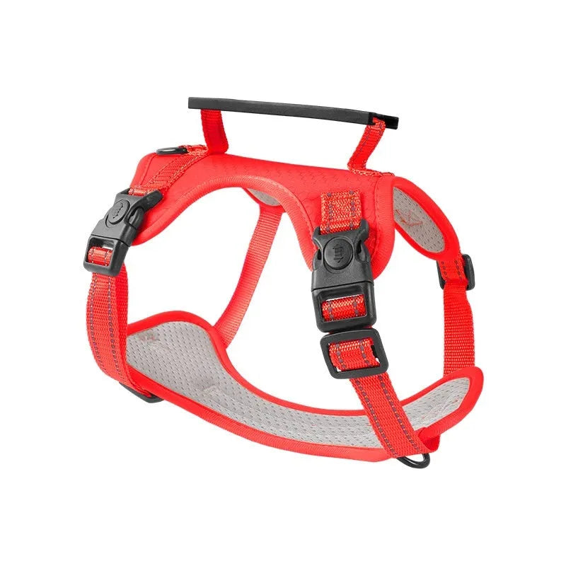 A polyester dog chest harness and matching leash set shown in a choice of colours.