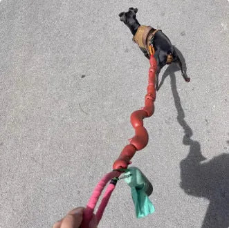 Brown pet training rope with multiple sausage sections and grip tape, measuring 108 cm in total length