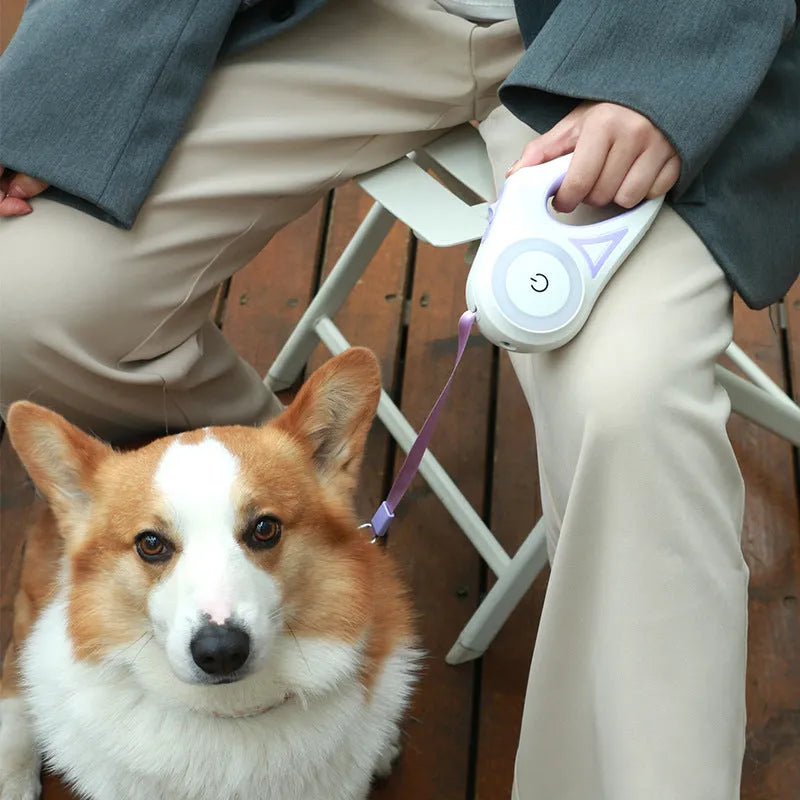 Retractable dog leash with one-handed brake in Dream Purple colour, 3m length