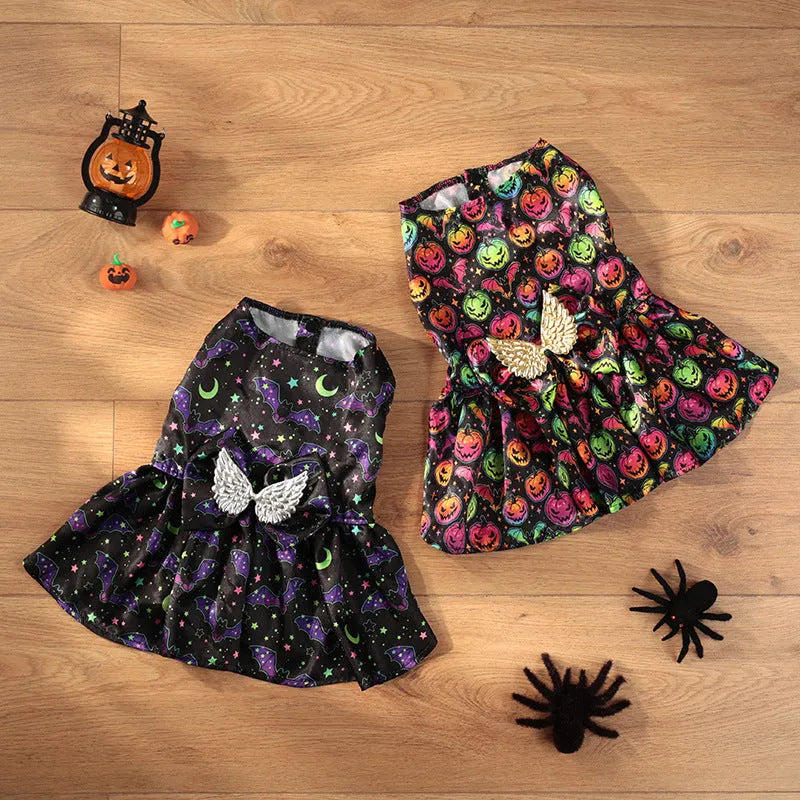 Halloween dog costume with angel wings design in bright pumpkin colour on a small dog.