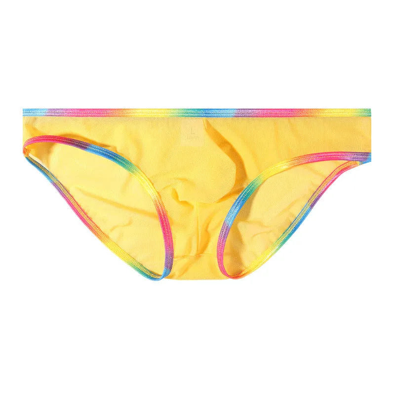 Women's transparent mesh briefs in multiple colours showing knitted nylon fabric construction