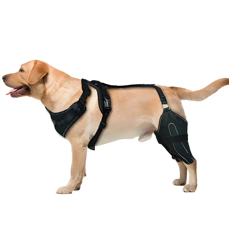 Black polyester dog thigh protective sleeve with adjustable metal support for postoperative care