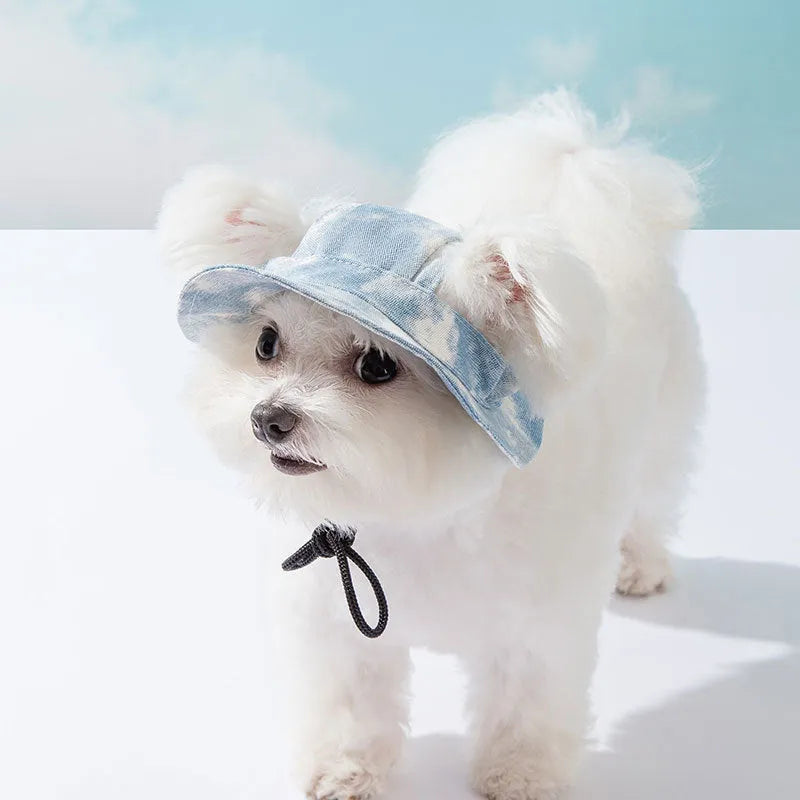 Pet hat with ear holes in blue for small dogs, with adjustable chain rope and tie-dye pattern
