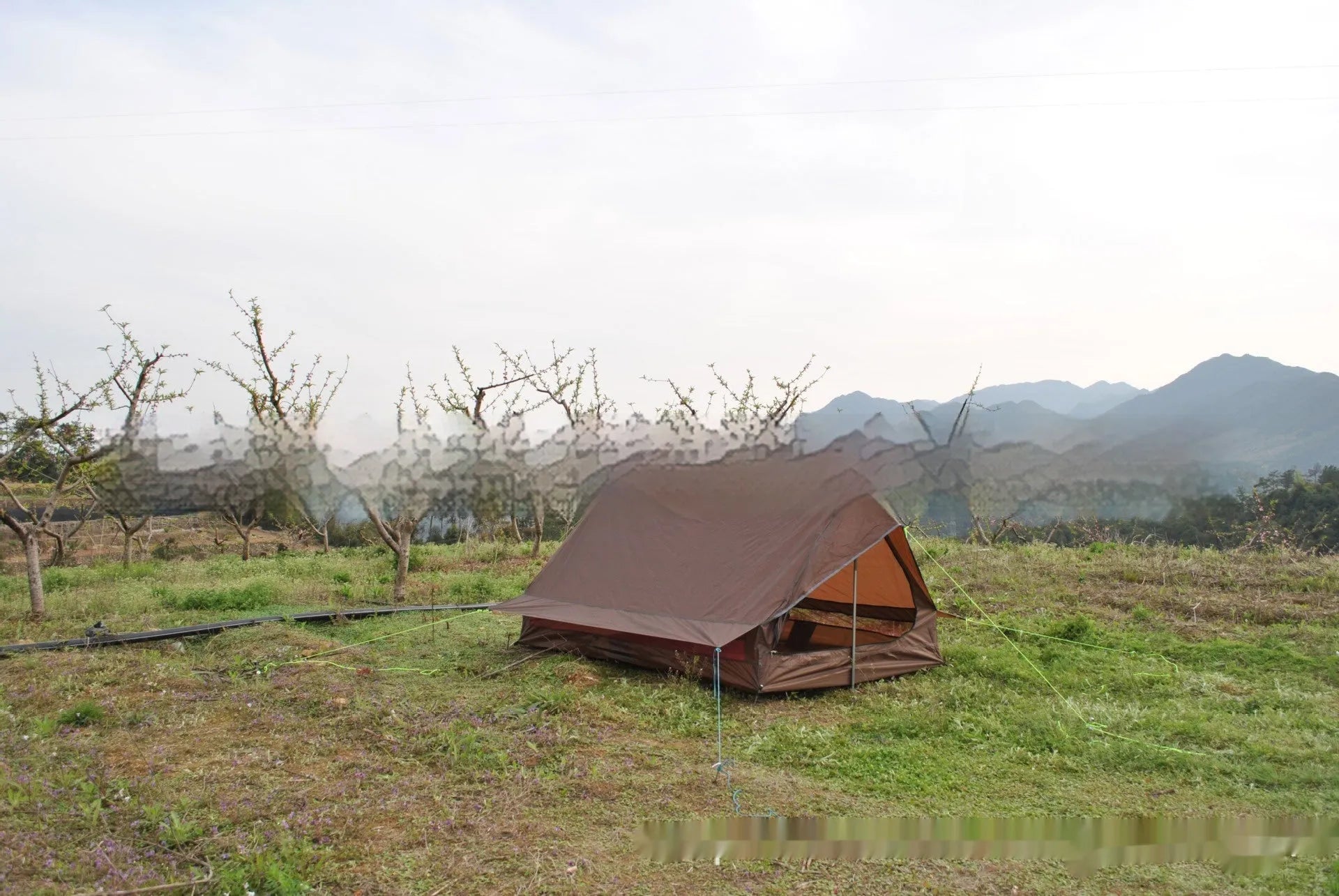 Brown ultralight A-frame hiking tent pitched with hiking poles in an outdoor setting