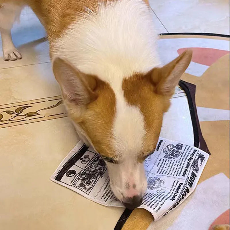 Tear-resistant dog toy with newspaper and playing card prints featuring a squeaker inside