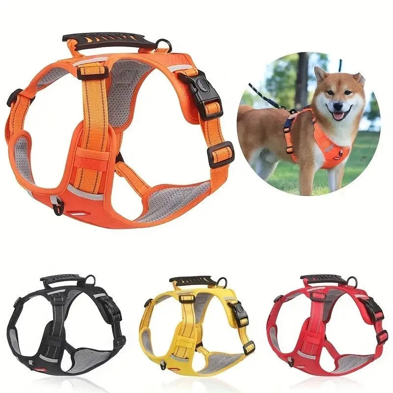 A polyester dog chest harness and matching leash set shown in a choice of colours.