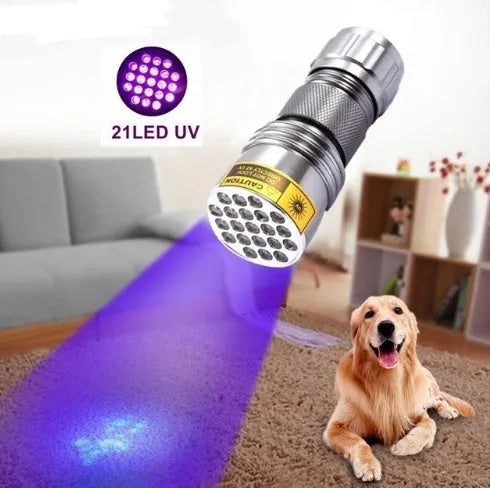 21 LED UV flashlight with violet light in silver aluminium alloy body