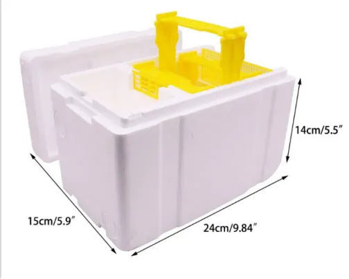 Set of three white EPS foam bee breeding boxes for hive management.