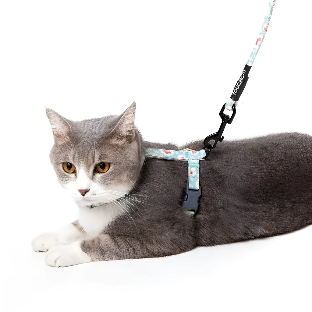 Nylon slipping cat rope harness and lead set in denim blue with adjustable neck and chest straps for small cats