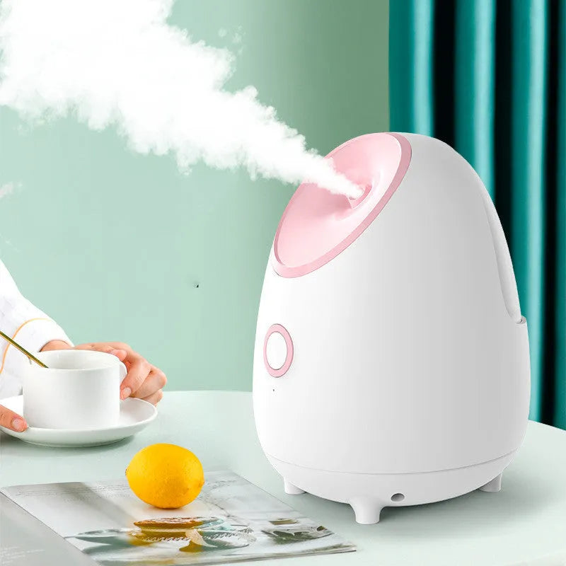 White household facial steamer with hot spray function and polished plastic shell