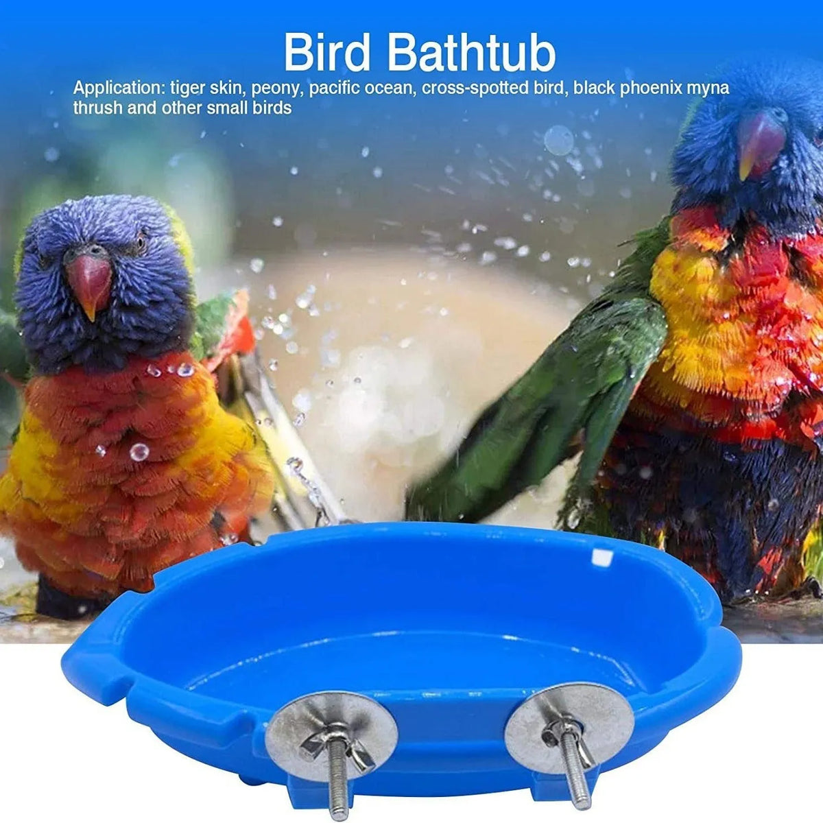 Small plastic multifunctional feeder bird bathtub with 10 balls for pet birds