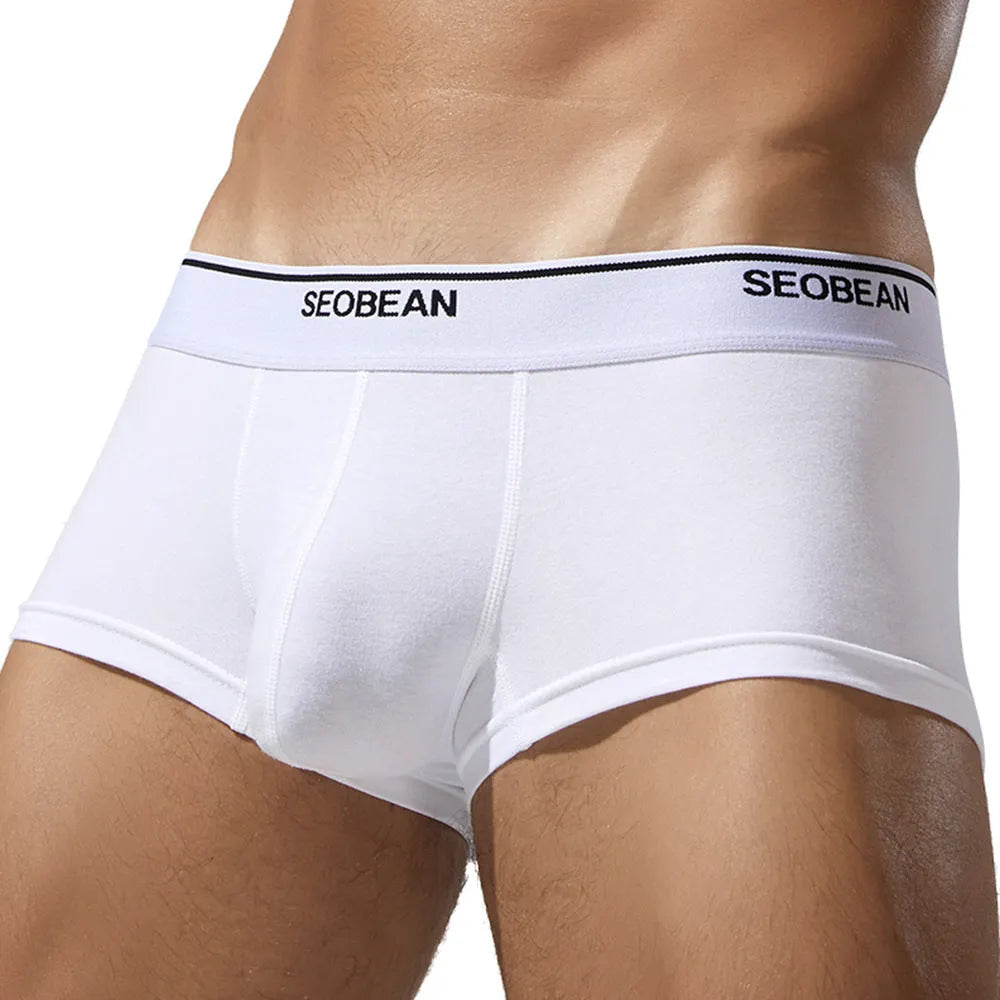Men's solid colour cotton boxer shorts with low waist, shown in white, blue grey, cyan and black.