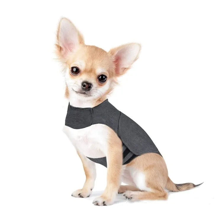 Heather grey dog anxiety jacket made from soft brocade cotton fabric on a medium-sized dog.