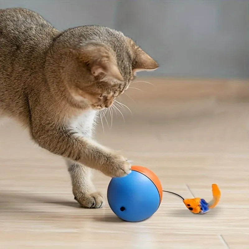 Blue and orange interactive cat toy with ball and separate plush mouse components