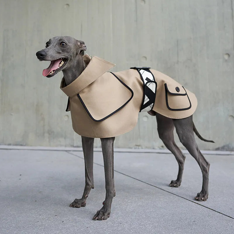 Camel Velcro dog windbreaker coat for spring and autumn, 100% cotton with polycool lining, XS to XXXL sizes