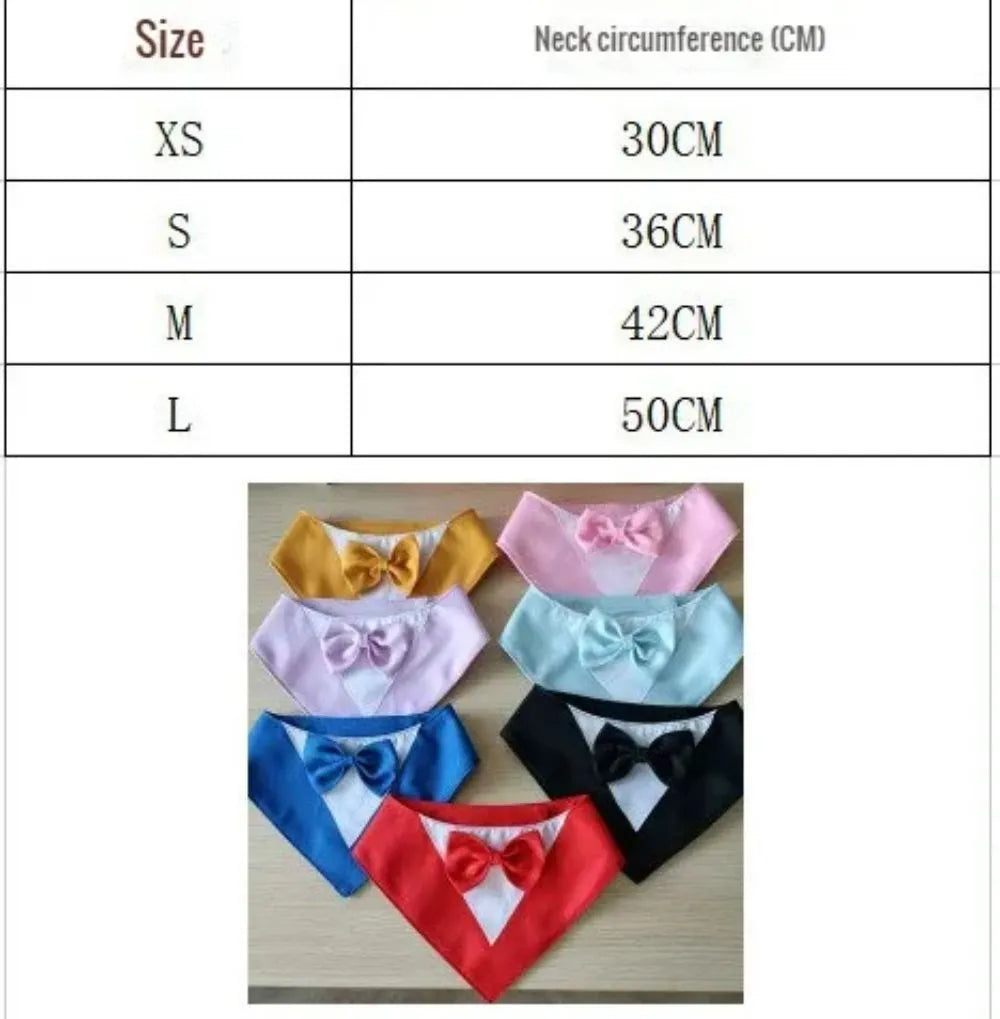 Triangular pet bib scarf on dog with snap fastener closure in multiple colour options