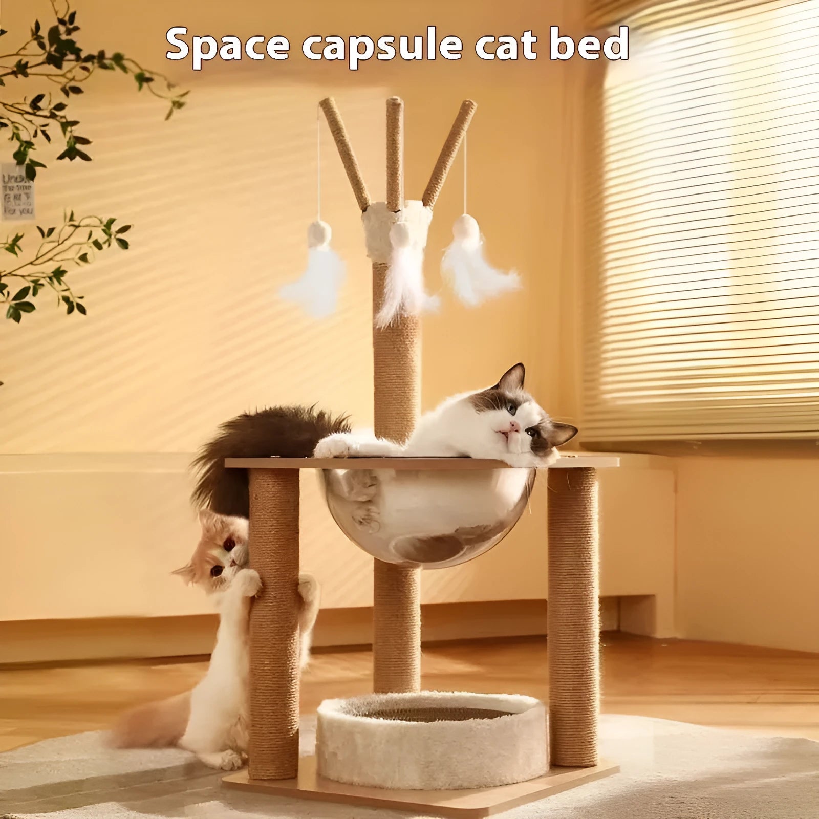 Wood colour cat climbing frame with integrated space capsule in luxury style