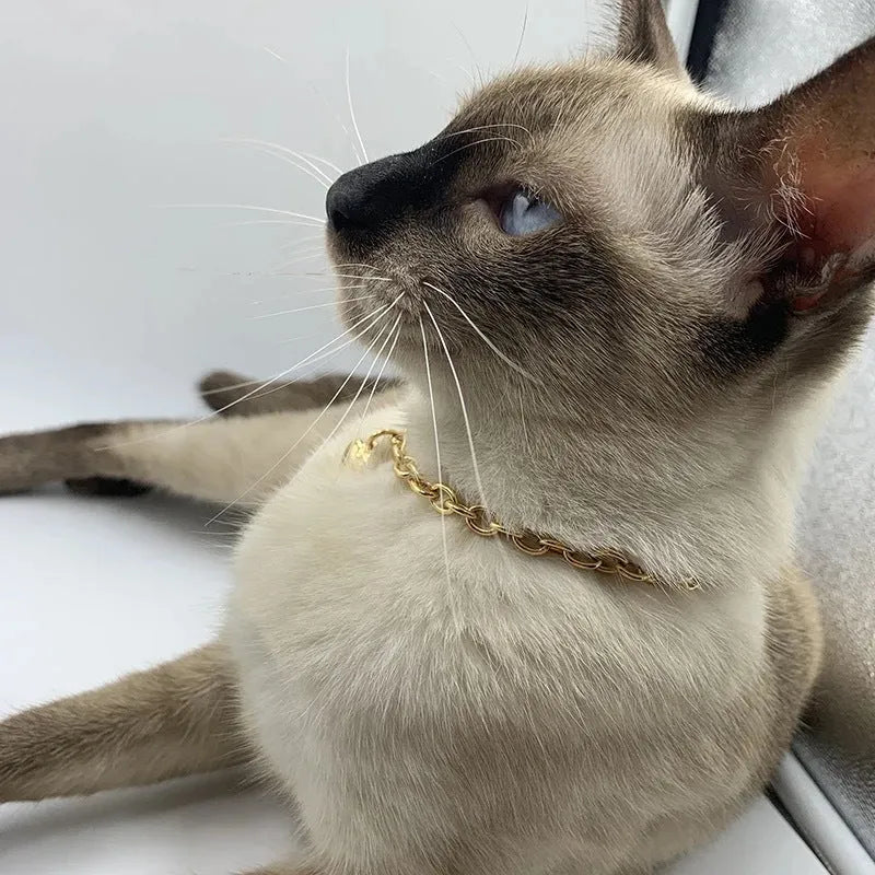 Stainless steel pet cat dog love heart pendant necklace in gold and silver finishes