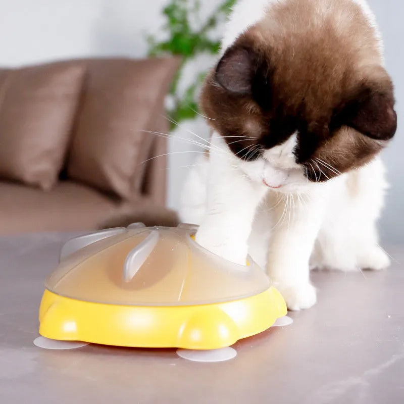 Yellow plastic cat slow feeder bowl with storage compartment and textured interior