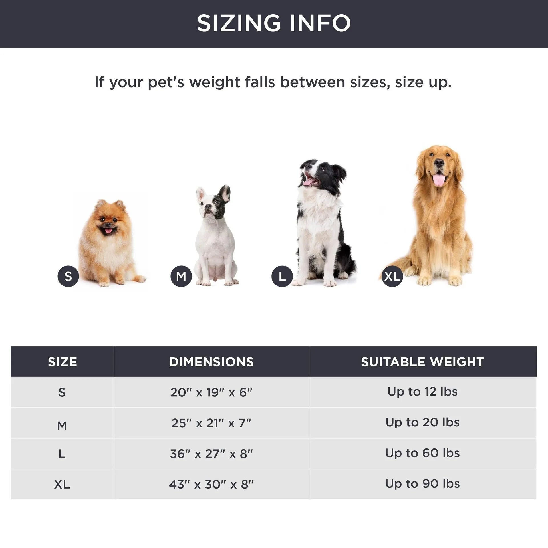 Grey raised edge dog bed cushion measuring 92cm long by 69cm wide for medium to large dogs