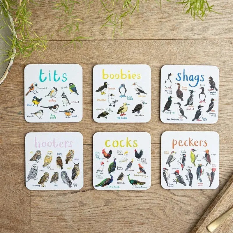 Bird pun coaster set, square PVC drink mats, 10x10x0.35 cm, 6 or 12 pieces